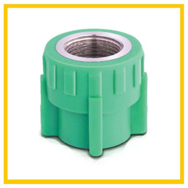 Socket Female, Socket Female,